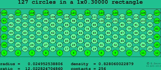 127 circles in a rectangle
