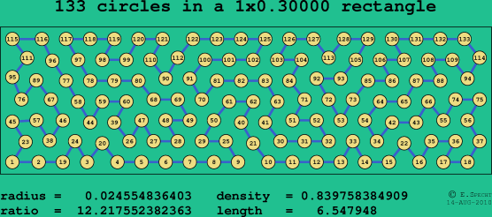 133 circles in a rectangle