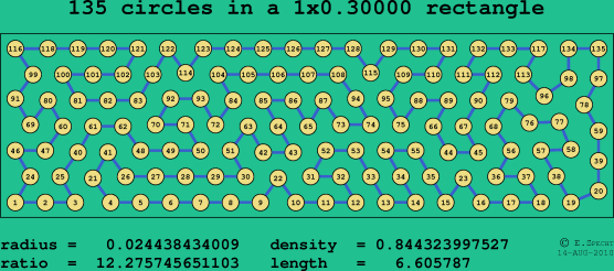 135 circles in a rectangle
