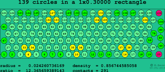 139 circles in a rectangle