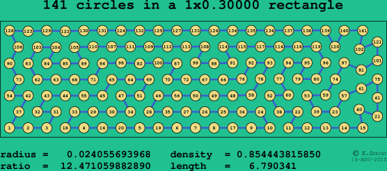 141 circles in a rectangle