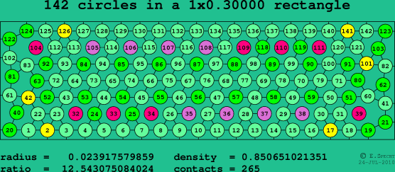 142 circles in a rectangle