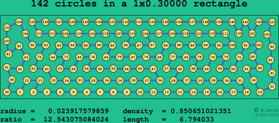 142 circles in a rectangle