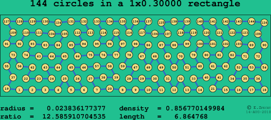 144 circles in a rectangle