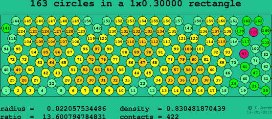 163 circles in a rectangle