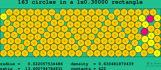 163 circles in a rectangle