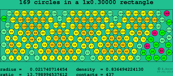 169 circles in a rectangle