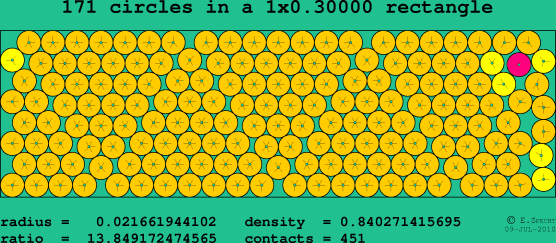 171 circles in a rectangle