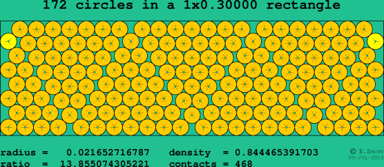 172 circles in a rectangle