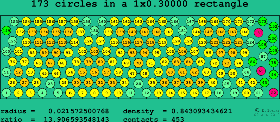 173 circles in a rectangle