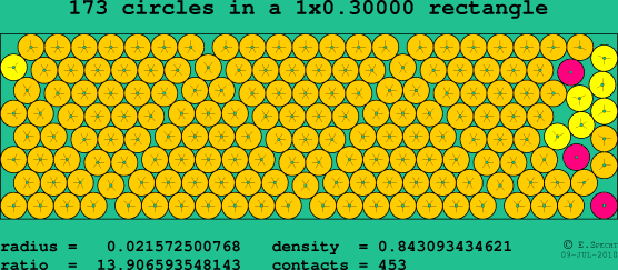 173 circles in a rectangle