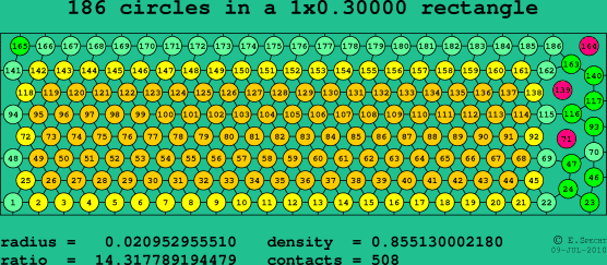 186 circles in a rectangle