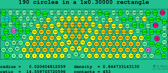 190 circles in a rectangle