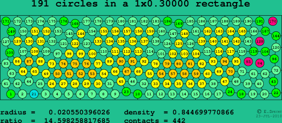 191 circles in a rectangle