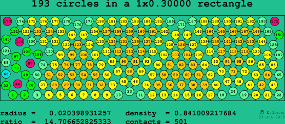 193 circles in a rectangle