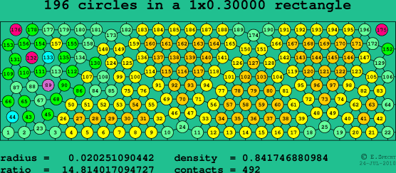 196 circles in a rectangle