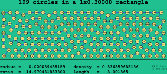 199 circles in a rectangle