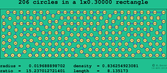 206 circles in a rectangle