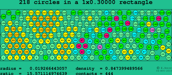 218 circles in a rectangle