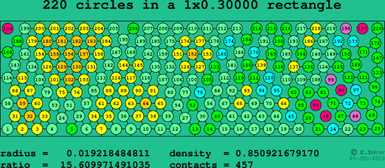 220 circles in a rectangle