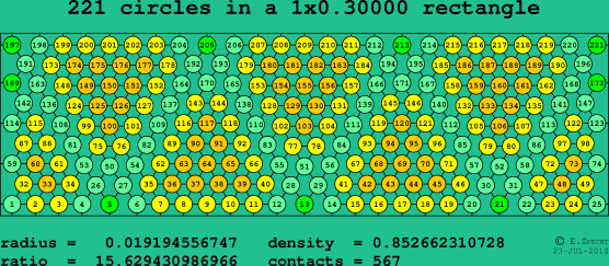 221 circles in a rectangle