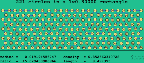 221 circles in a rectangle
