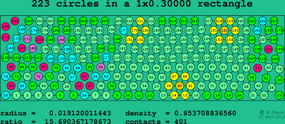 223 circles in a rectangle
