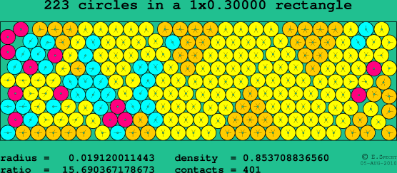 223 circles in a rectangle