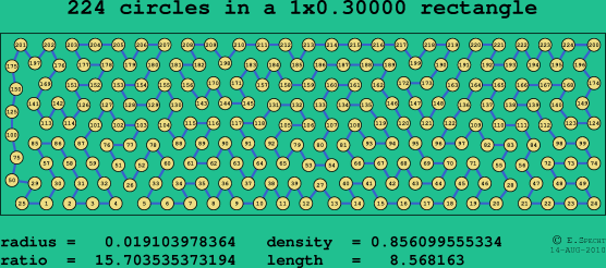 224 circles in a rectangle