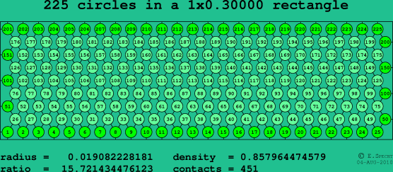 225 circles in a rectangle