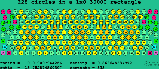 228 circles in a rectangle