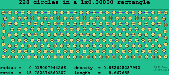 228 circles in a rectangle