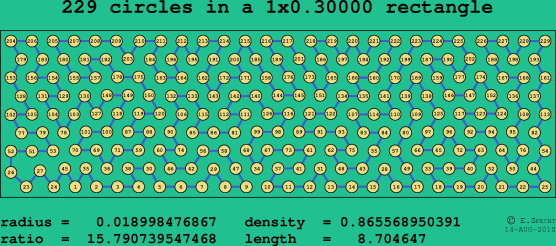 229 circles in a rectangle