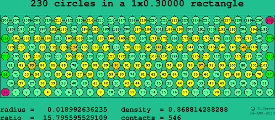 230 circles in a rectangle