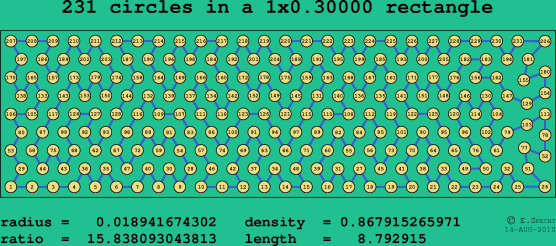 231 circles in a rectangle