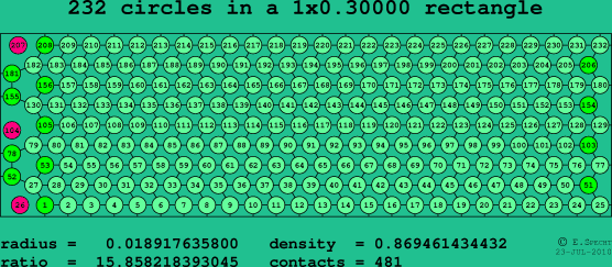 232 circles in a rectangle