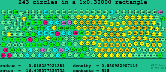 243 circles in a rectangle