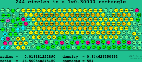 244 circles in a rectangle