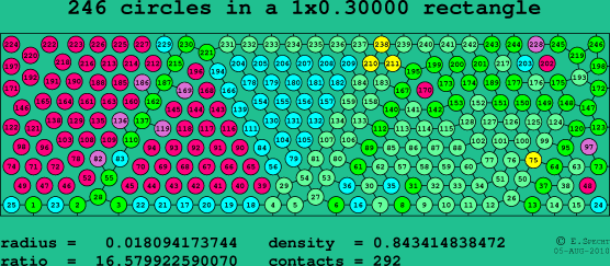 246 circles in a rectangle