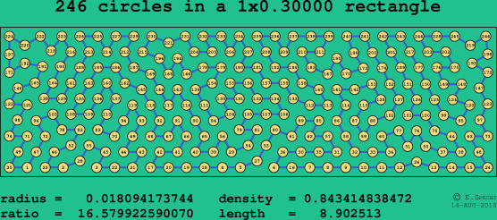 246 circles in a rectangle