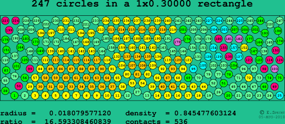 247 circles in a rectangle