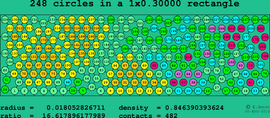 248 circles in a rectangle