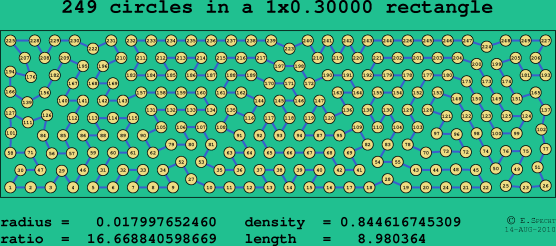 249 circles in a rectangle
