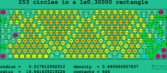 253 circles in a rectangle