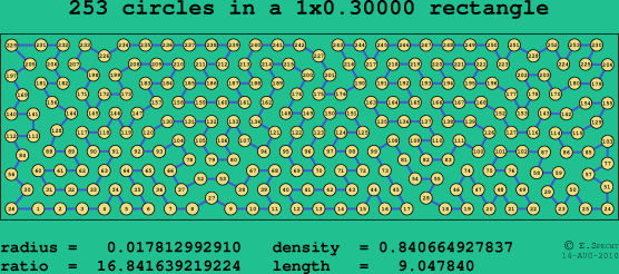 253 circles in a rectangle