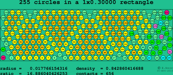 255 circles in a rectangle