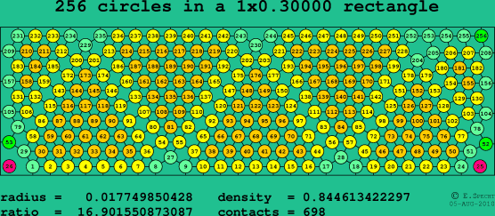 256 circles in a rectangle