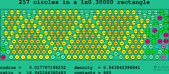 257 circles in a rectangle