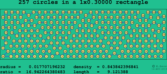 257 circles in a rectangle