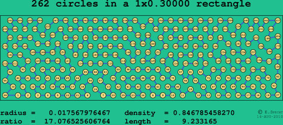 262 circles in a rectangle